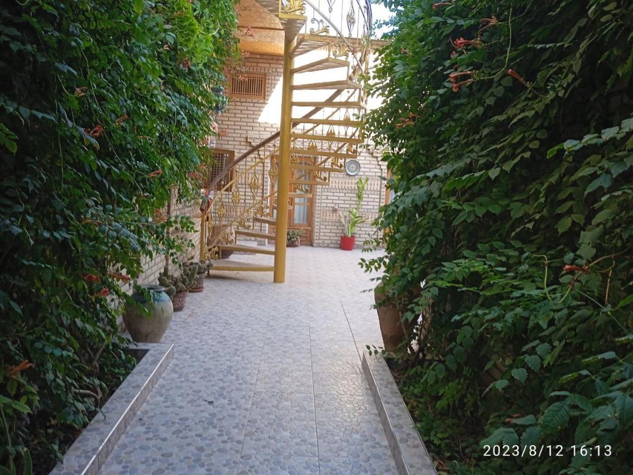 Sasha & Son Hotel Bukhara Exterior photo